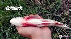 脑萎缩吃什么药脑萎缩吃什么药, 所周知中医治疗疾病多从患者病